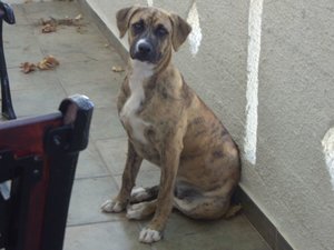 2009-10-Kreta 004.jpg