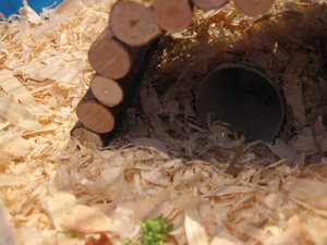 Jamaicas KÃ¤fig 005.jpg