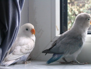 Lisa und Charlie1.JPG