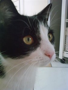 P24-01-10_12.43 (Medium).jpg