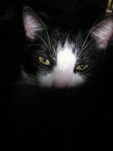 P1010010 (Medium).JPG