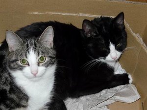 GrÃ¶ÃŸenÃ¤nderung P1040233.JPG