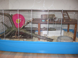 Jamaicas KÃ¤fig 007.jpg