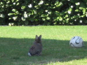 Bella & MÃ¤x 006.jpg