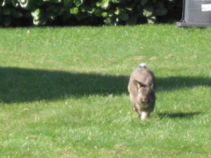 Bella & MÃ¤x 007.jpg