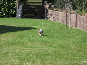 Bella & MÃ¤x 009.jpg