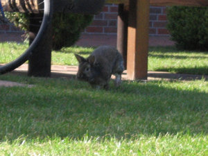 Bella & MÃ¤x 018.jpg