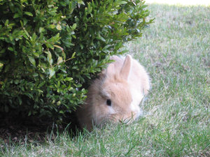 Bella & MÃ¤x 027.jpg