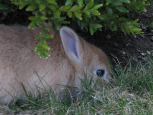 Bella & MÃ¤x 028.jpg