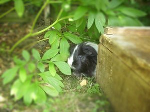 Kamerabilder 204.jpg