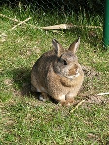 k-Finepix J50 0615.jpg