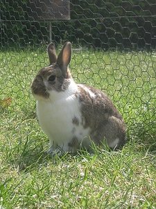 k-Finepix J50 050.jpg