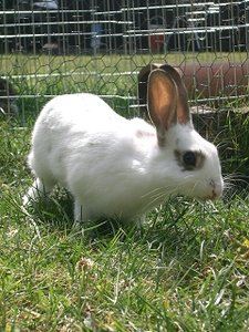 k-Finepix J50 051.jpg