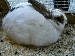 k-Finepix J50 121.jpg