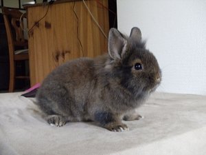 k-Finepix J50 117.jpg