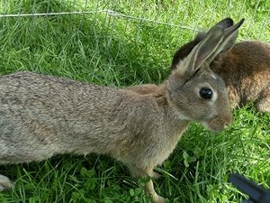 k-Finepix J50 112.jpg