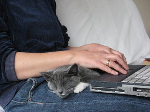 Findus PlswÃ¤rmer.jpg