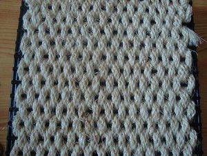 DSC01587.jpg verkleinert.jpg