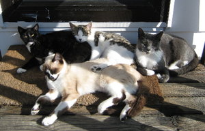 IMG_14.jpg IMG_14.jpg