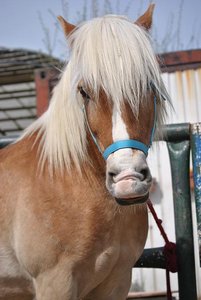 DSC_0255 - Kopie.JPG