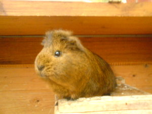 Kamerabilder 278.jpg