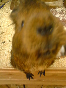 Kamerabilder 274.jpg