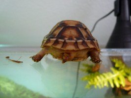 P1190301 [320x200].JPG