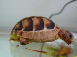 P1190307 [320x200].JPG