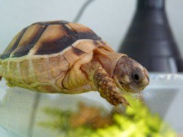 P1190305 [320x200].JPG