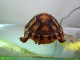 P1190298 [320x200].JPG