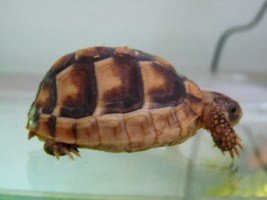 P1190308 [320x200].JPG