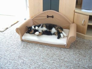 katzensofa1.jpg