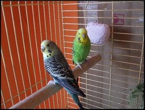 Cam Bilder 011klein.jpg