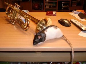 CIMG0271.jpg verkleinert.jpg