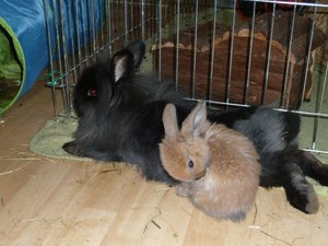 Oskar und Blinki.jpg