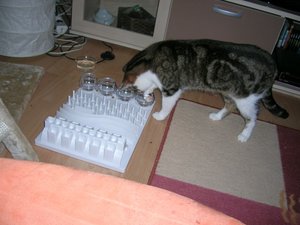 Fummelbrett M-F 11.04.10.JPG