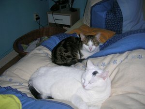 M-F und Lissy 11.04.10.jpg