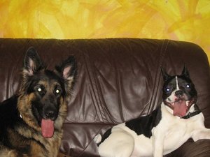 k-rosi&bruce 017.jpg