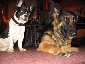 k-rosi&bruce 004.jpg