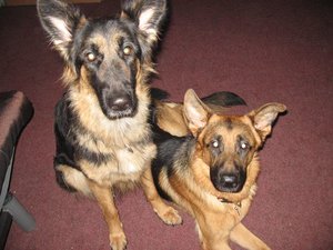 k-jimmy rosi 023.jpg