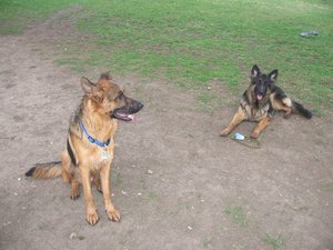 k-jimmyrosistudio 048.jpg