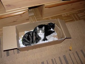 GrÃ¶ÃŸenÃ¤nderung P1040230.JPG