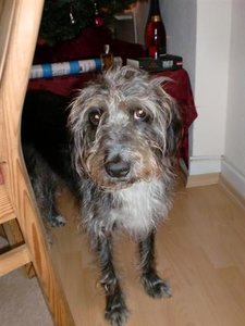 CIMG0005 (Small).JPG