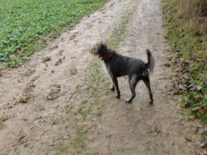 CIMG0008 (Small).JPG