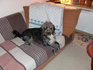 CIMG0016 (Small).JPG