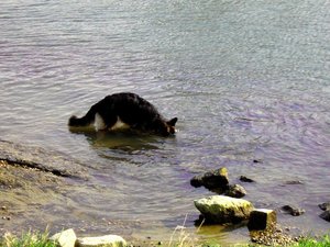 k-rosimaxilana 027.jpg