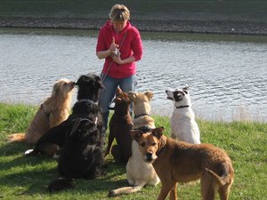 k-sonntagallerosiwasser 011.jpg