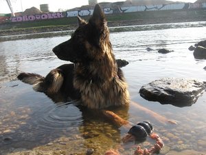 k-sonntagallerosiwasser 018.jpg