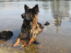 k-sonntagallerosiwasser 027.jpg