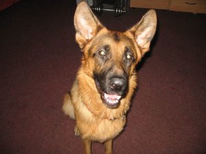 k-jimmy rosi 012.jpg